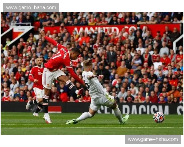 南安普顿vs狼队：英超赛场上的“圣徒”与“狼群”的恩怨情仇